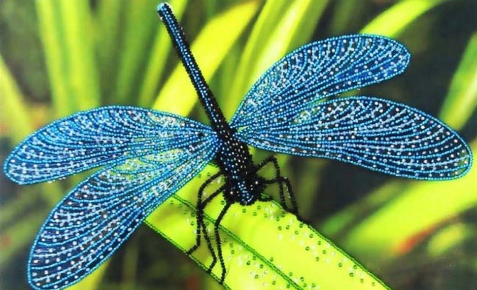 Синяя Стрекоза