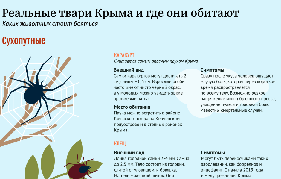 Каракурт ареал обитания