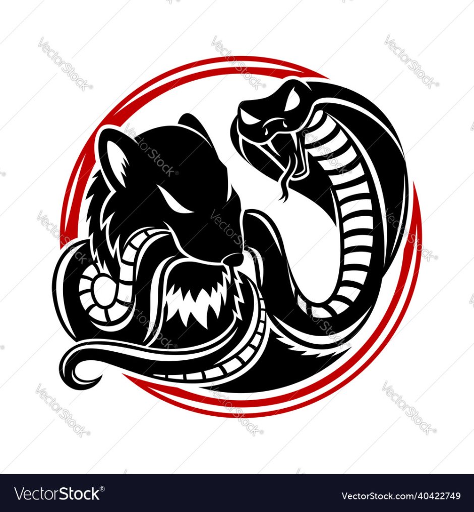 Мангуст против кобры видео