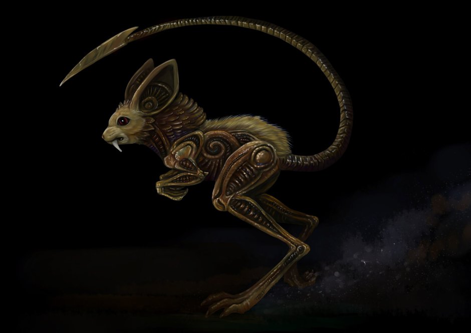 Прыгунчик слоновая землеройка