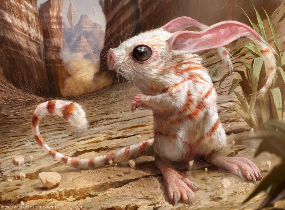 Тушканчик арт