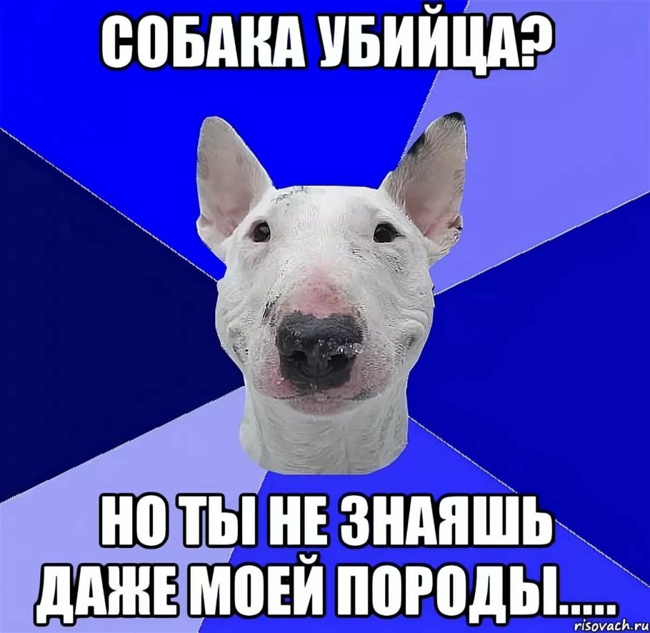 Длинноухий тушканчик