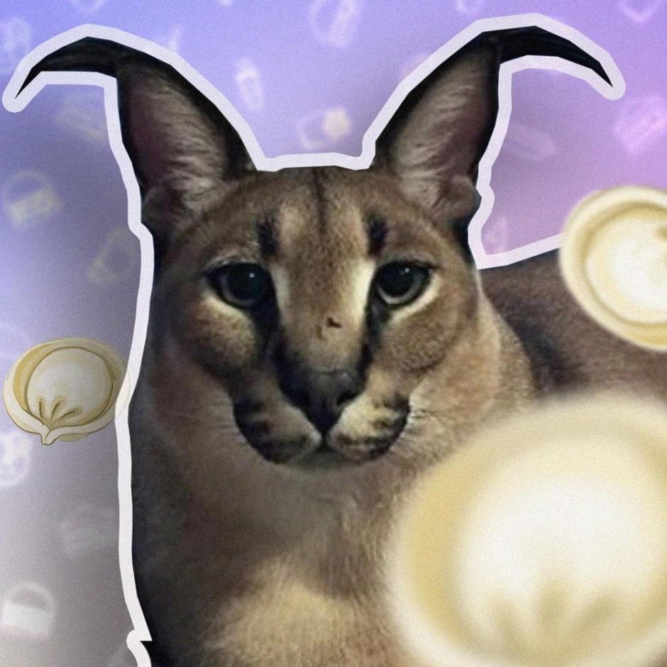 Каракал котенок мяукает