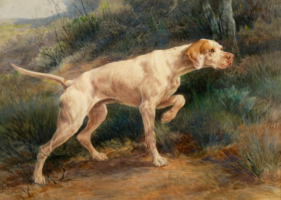 Edmund Henry OSTHAUS (1858-1928). Германия