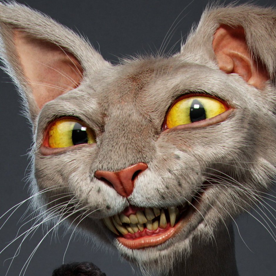Котик из мема