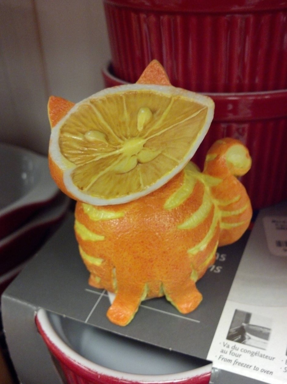 Мандариновая кошка