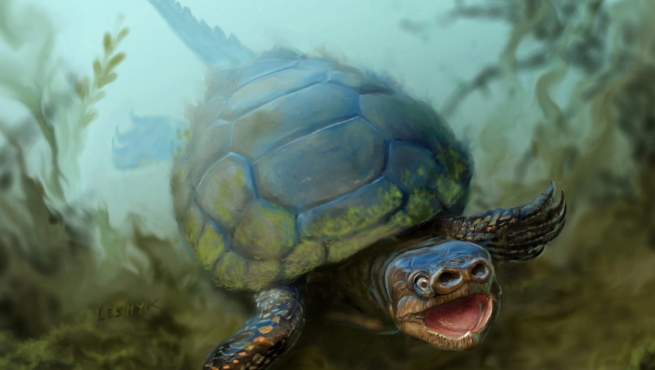 Крутая черепаха