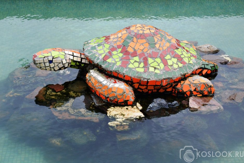 Джонатан Галапагосская черепаха