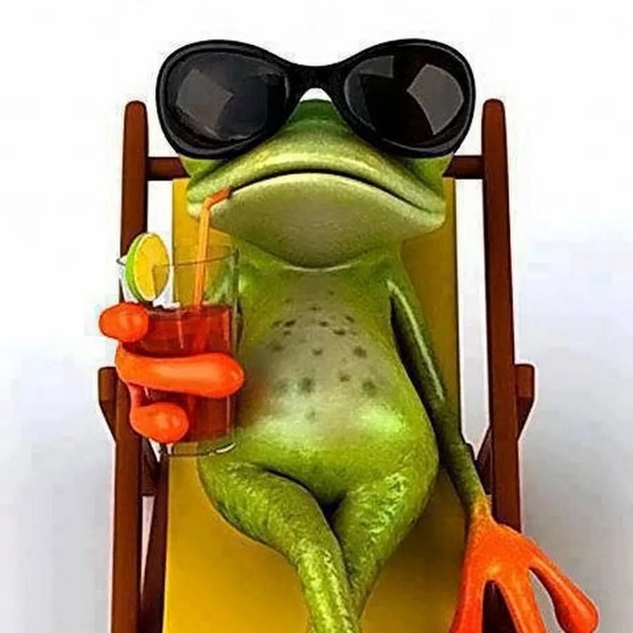 Лягушка на шезлонге