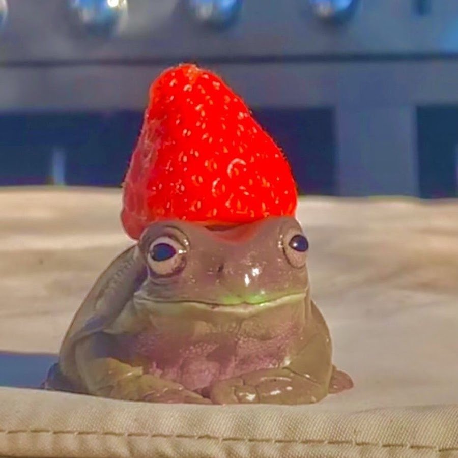 Жаба с клубникой на голове