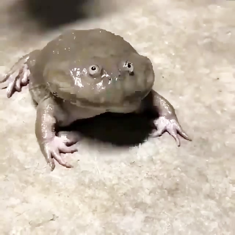 Позитивные картинки