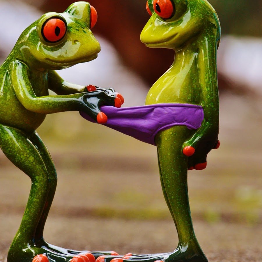 Лягушки дерутся