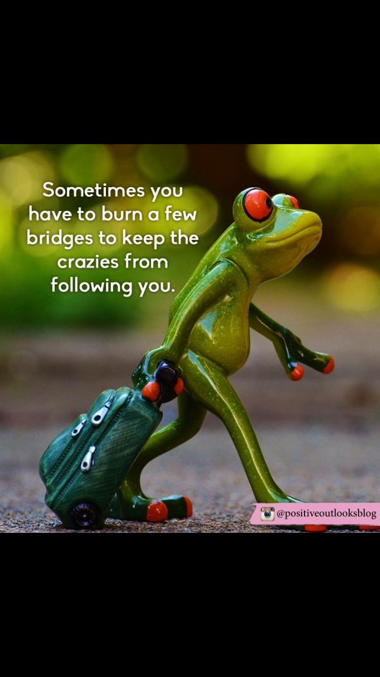 Милая лягуха