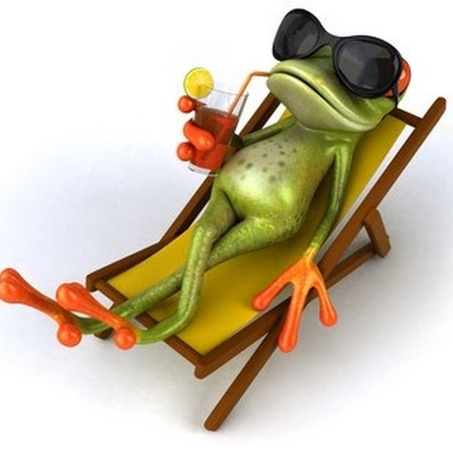 Лягушки подружки