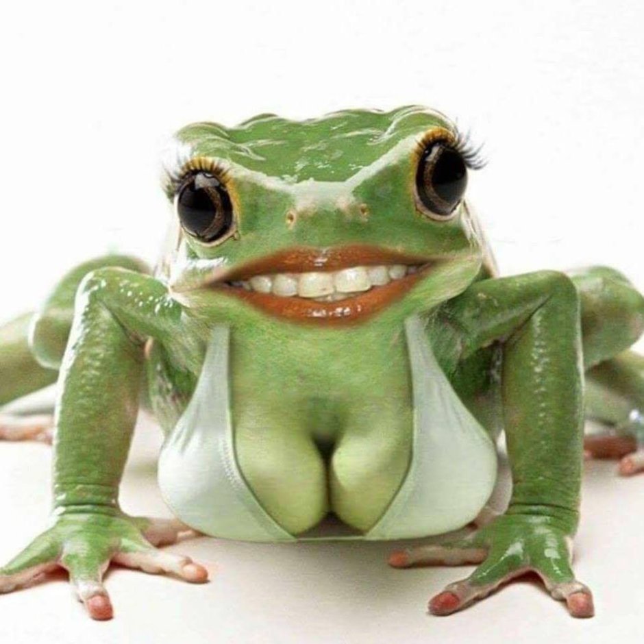 Женщина лягушка