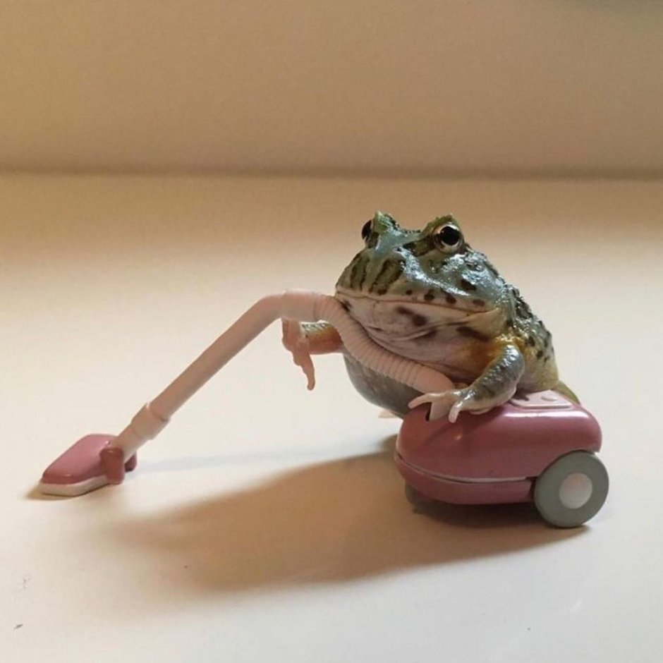 Жаба с пылесосом