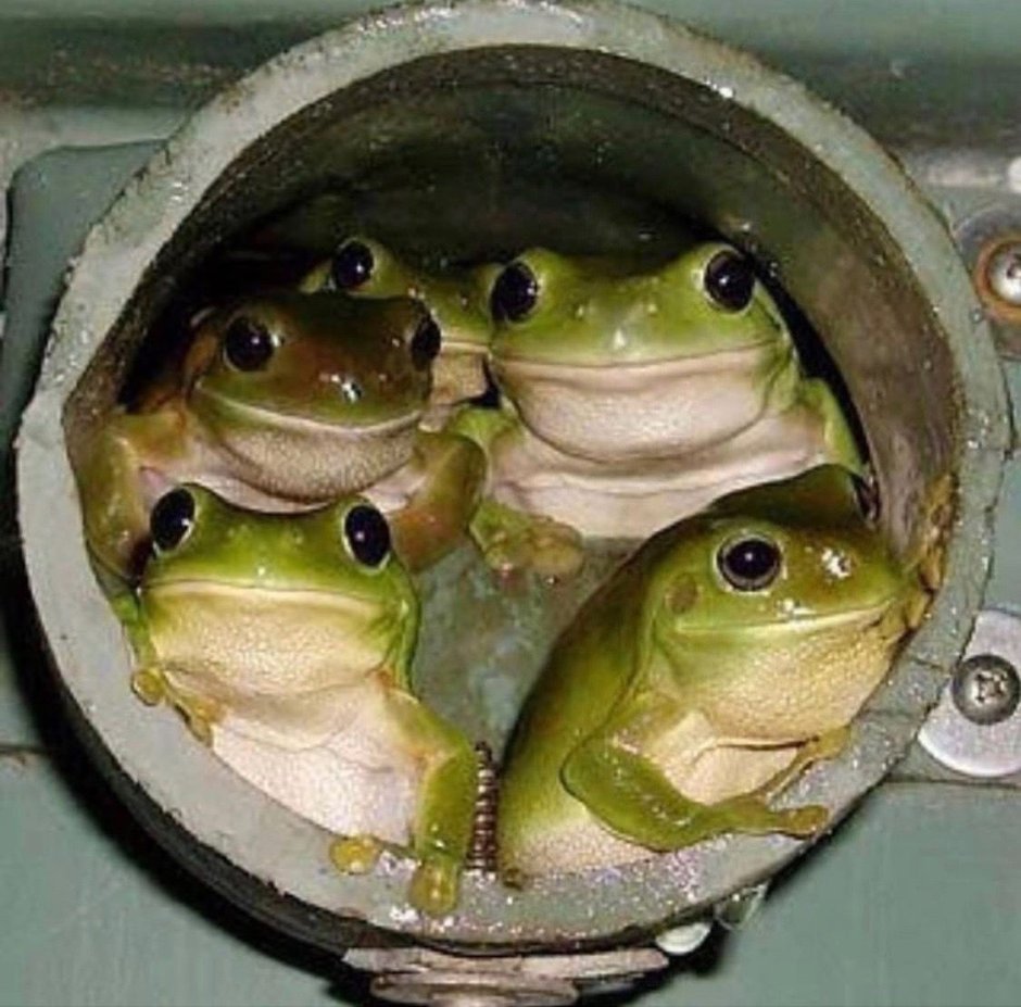 Отпуск аватарка