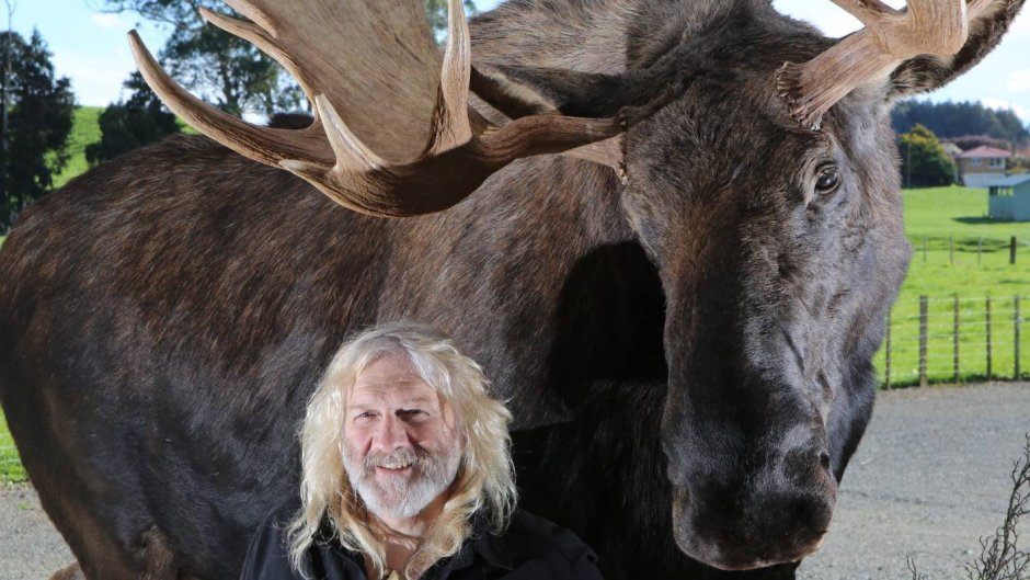 Гигантский Лось