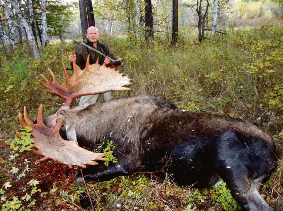 Самый большой Лось в мире