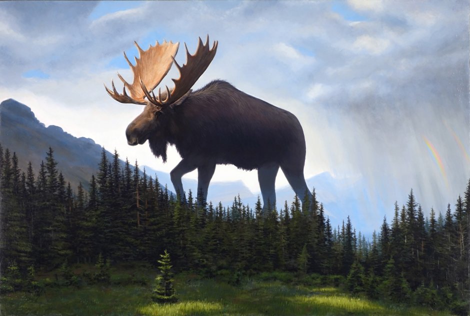 Лось Сохатый гигант