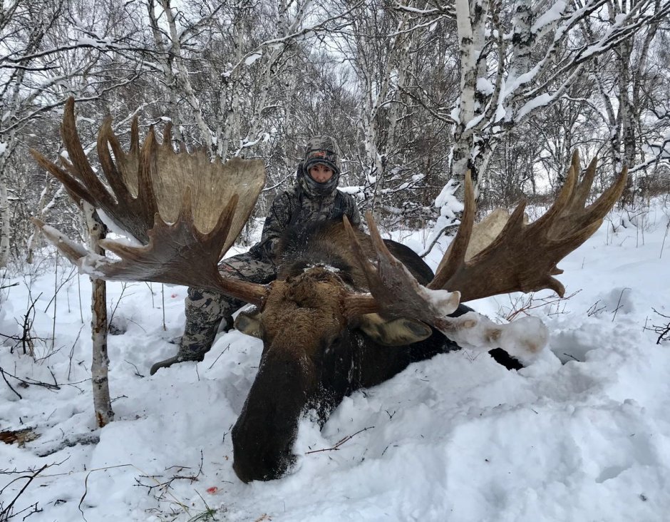 Гигантский Лось