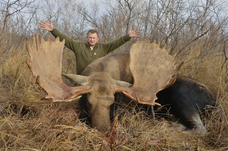 Огромный Колымский Лось