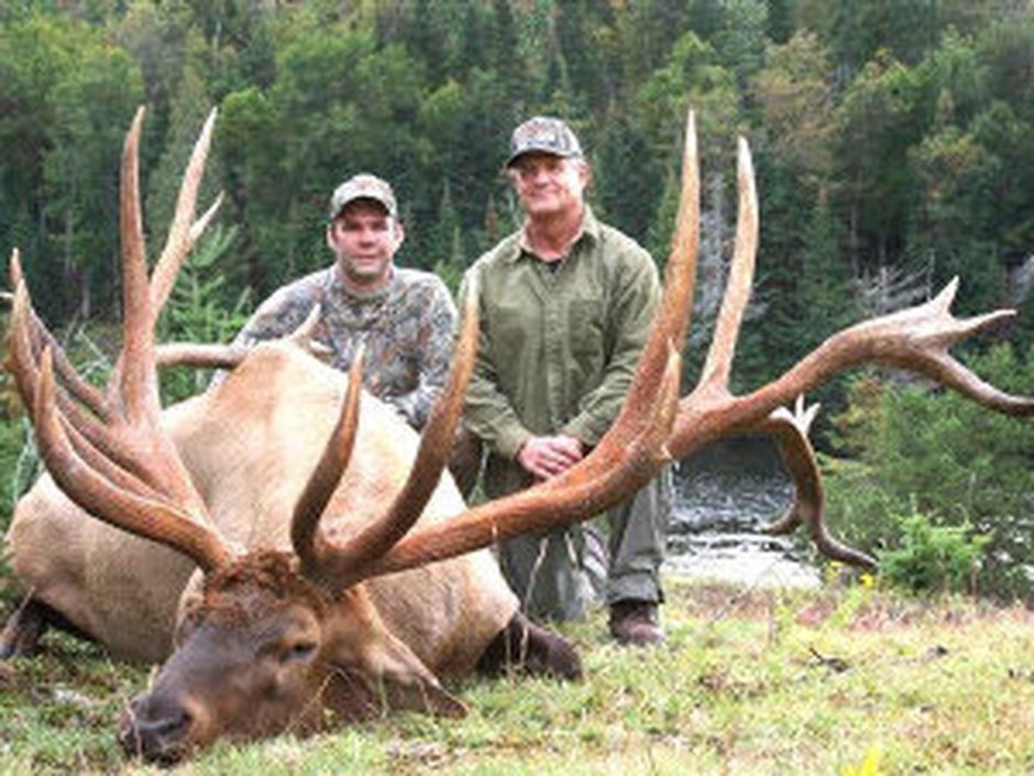 Квебекский Лось