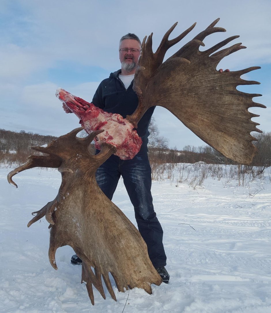 Гигантский Лось