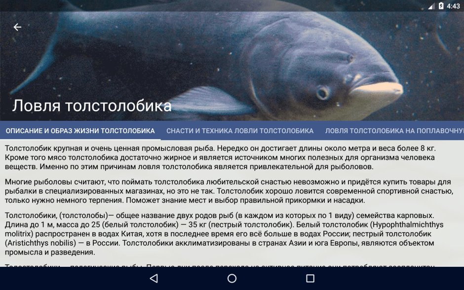 Раскраски рыбы настоящие