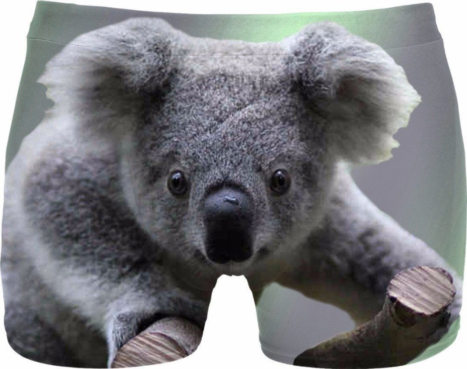 Животные коала 3 д