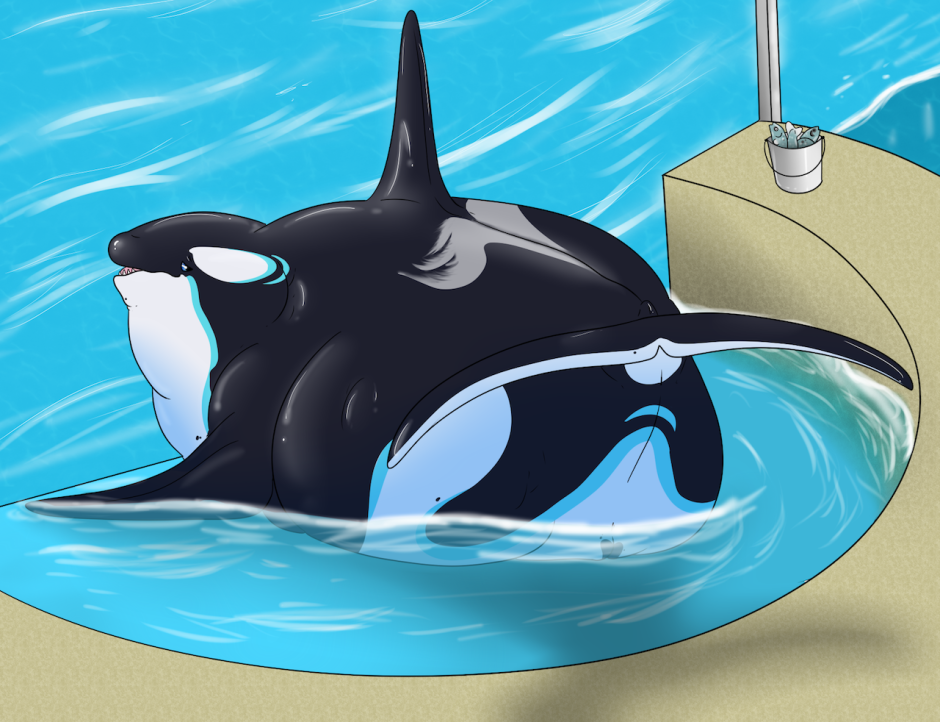 Косатка Orcinus Orca Linnaeus