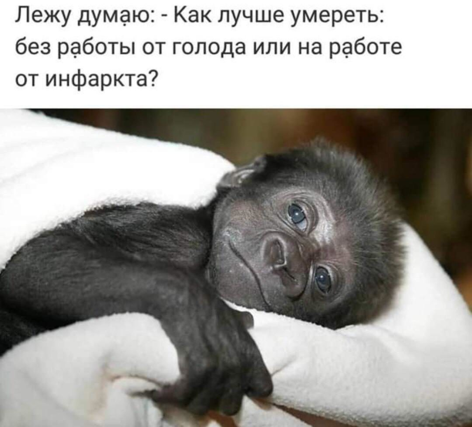 Лежит и думает
