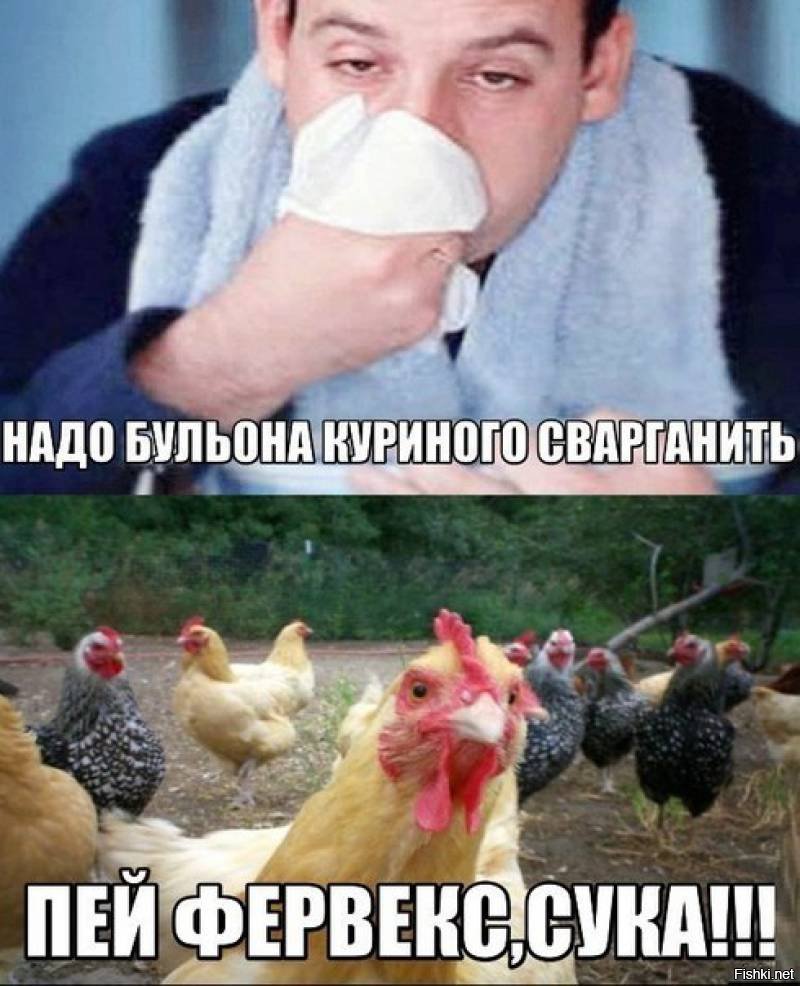 Пей Фервекс сука курица