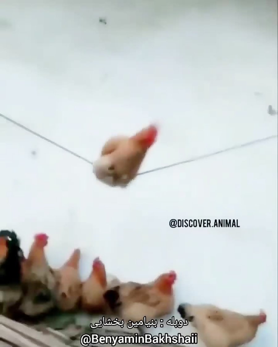 Бузова демотиваторы