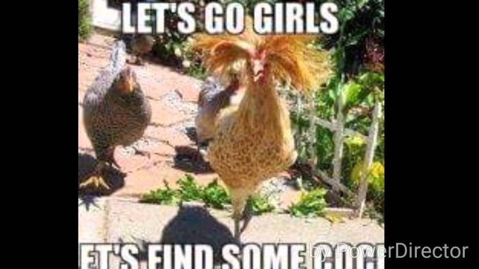 Комиксы пощипана зад петуха