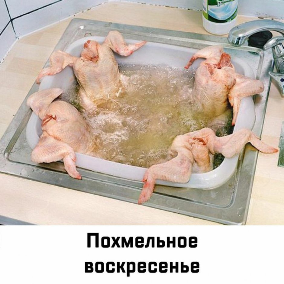 Смешные фразы про яйца