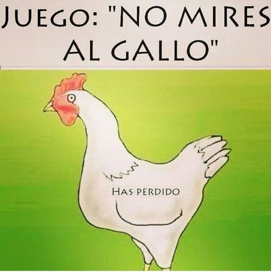 Петух в штанах