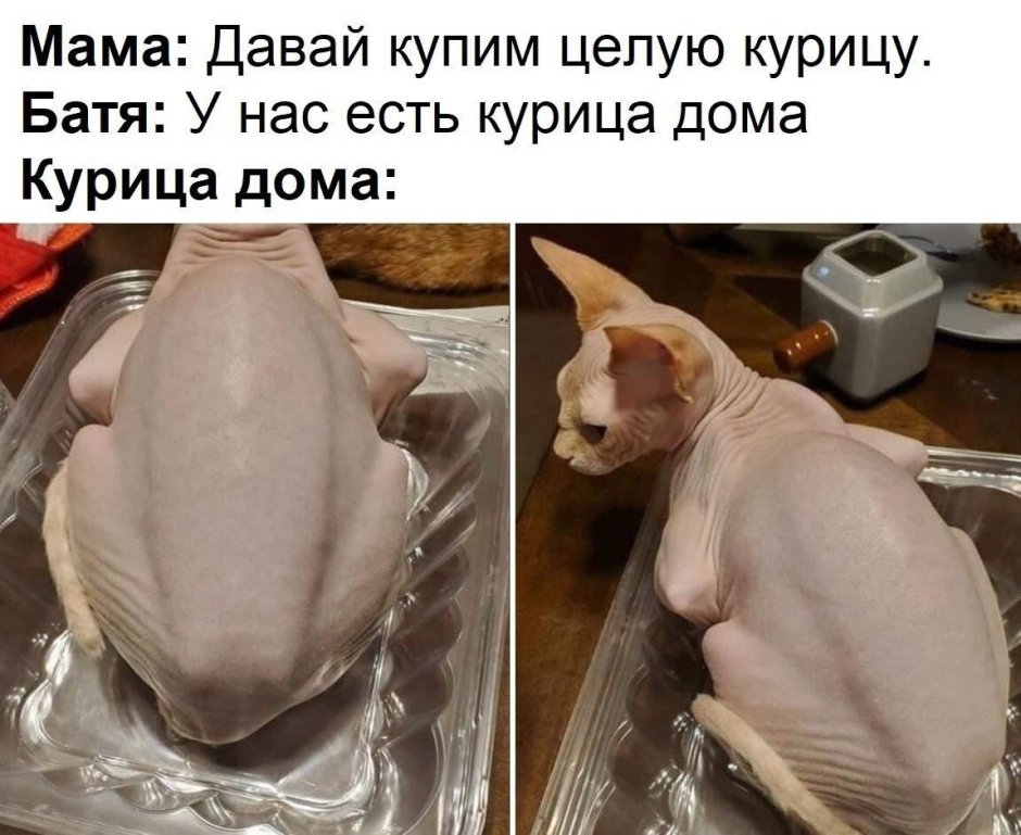 Баба курица