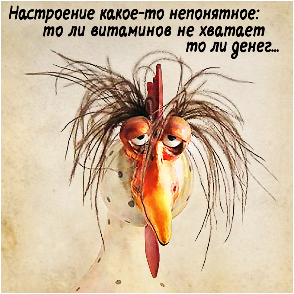 Петух в курятнике