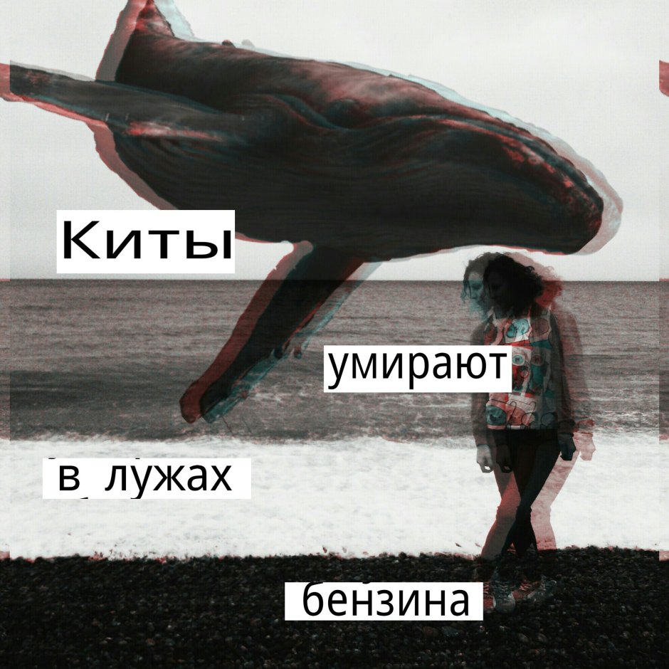 Синий кит самка