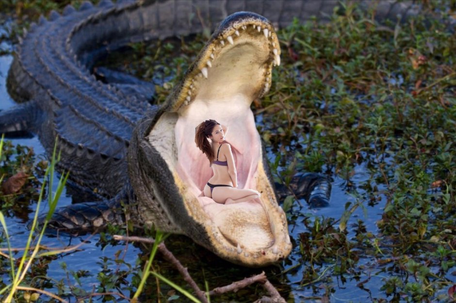 Роговая чешуя крокодил