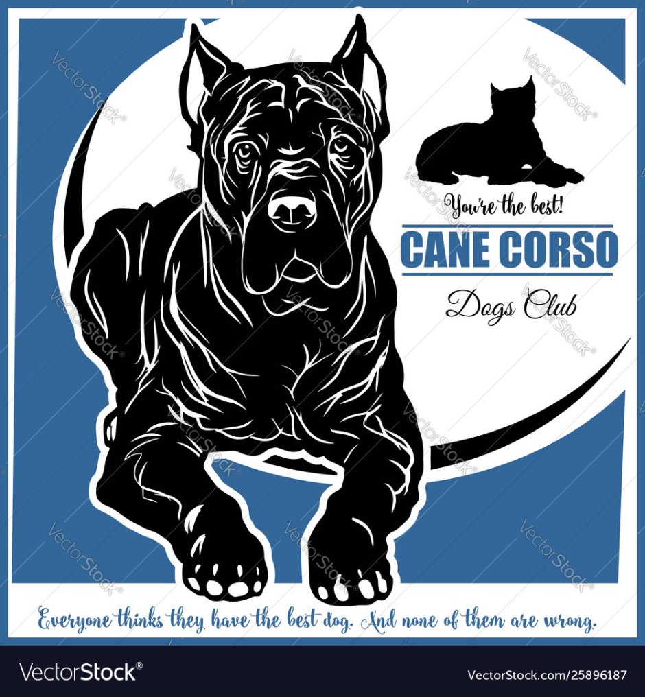 Кане Корсо собака вектор