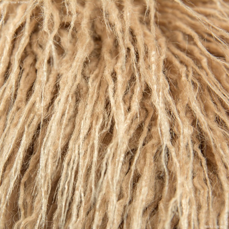 Фото ламы крупный клан лица