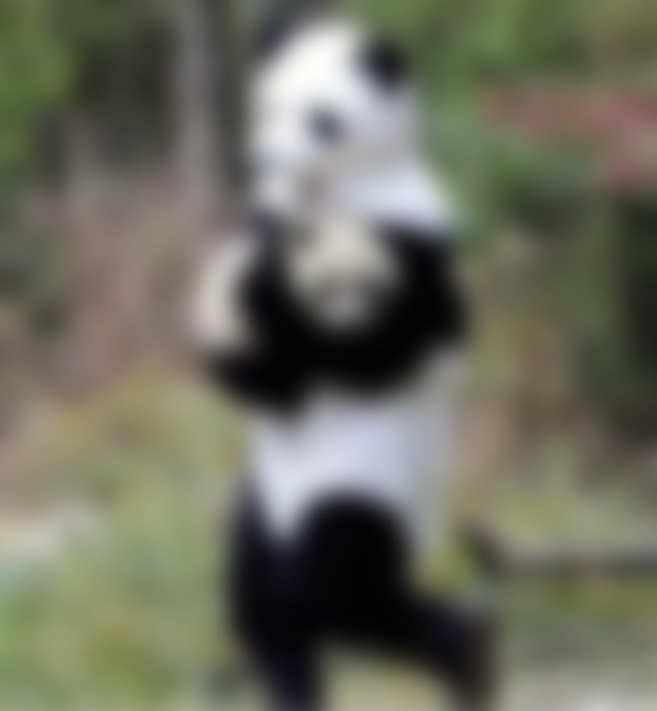 Хвост панды