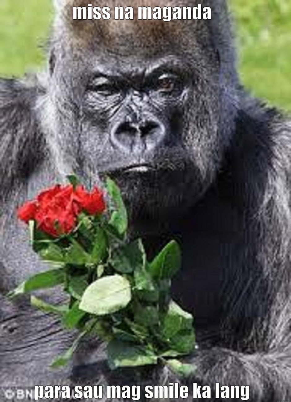 Обезьяна с цветком