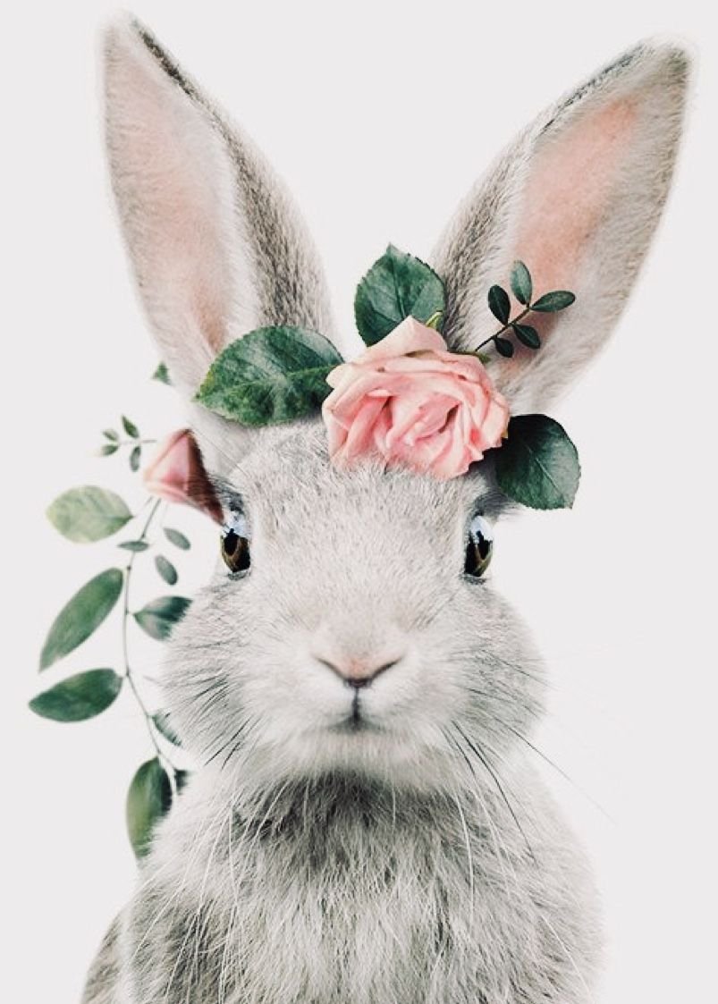 Вышивка зайчик