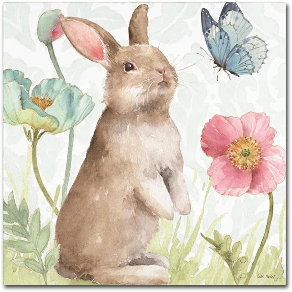 Кролик акварель