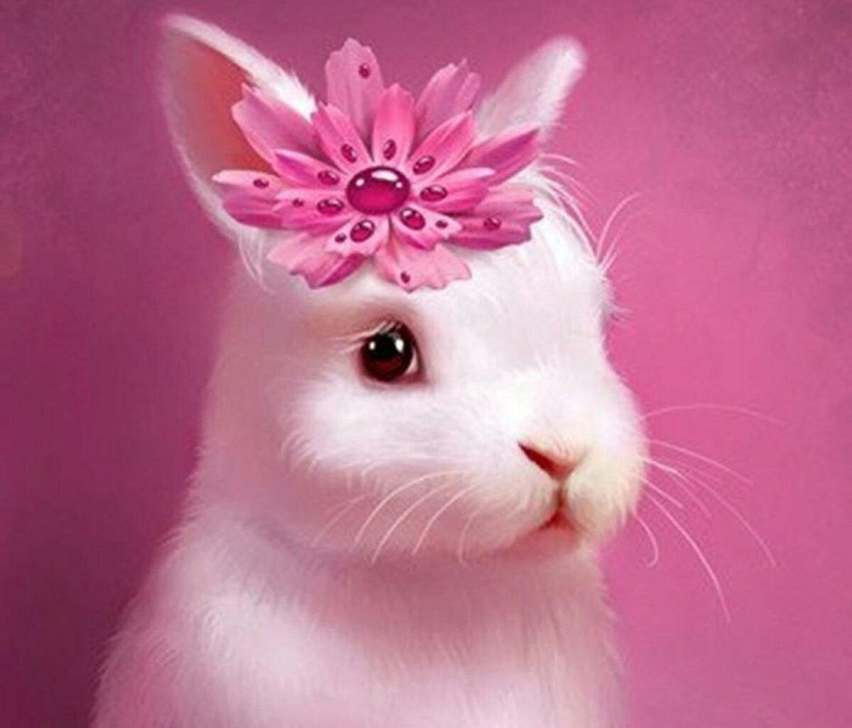 Художник Ryohei Hase кролик