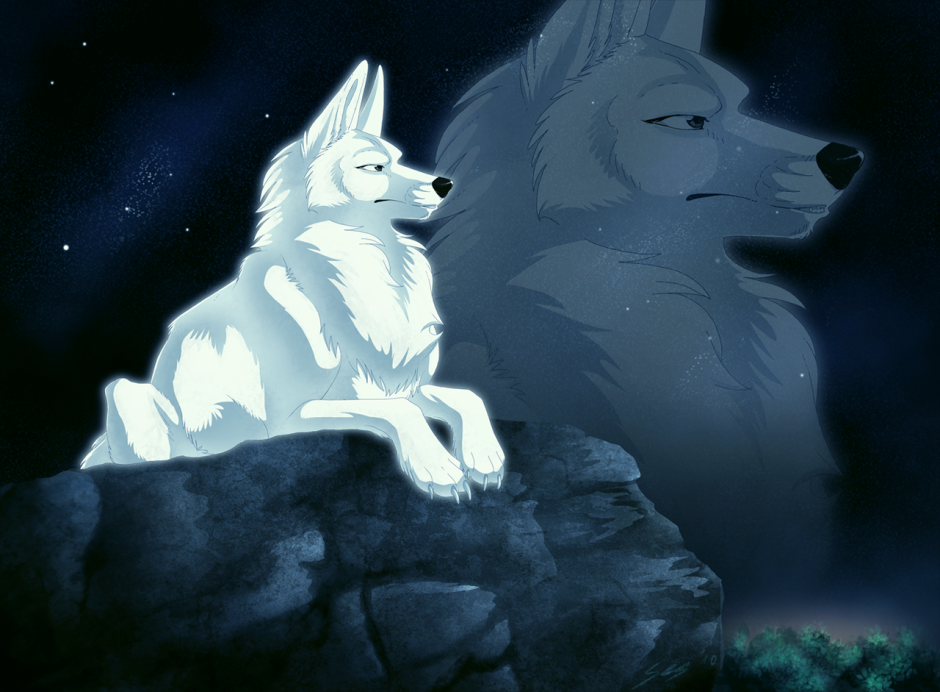 Canis Lupus tundrarum