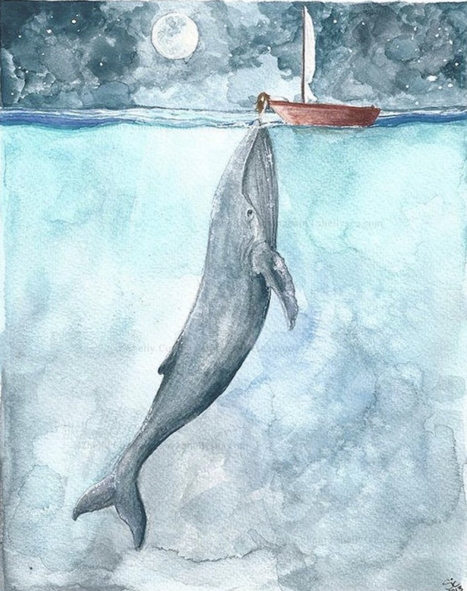 Рисунок кита для срисовки